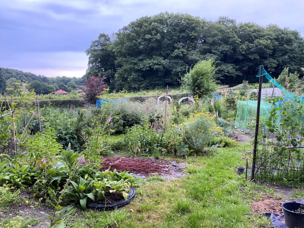 Volkstuinvereniging de Heselbergh met verschillende moestuinen met groente.