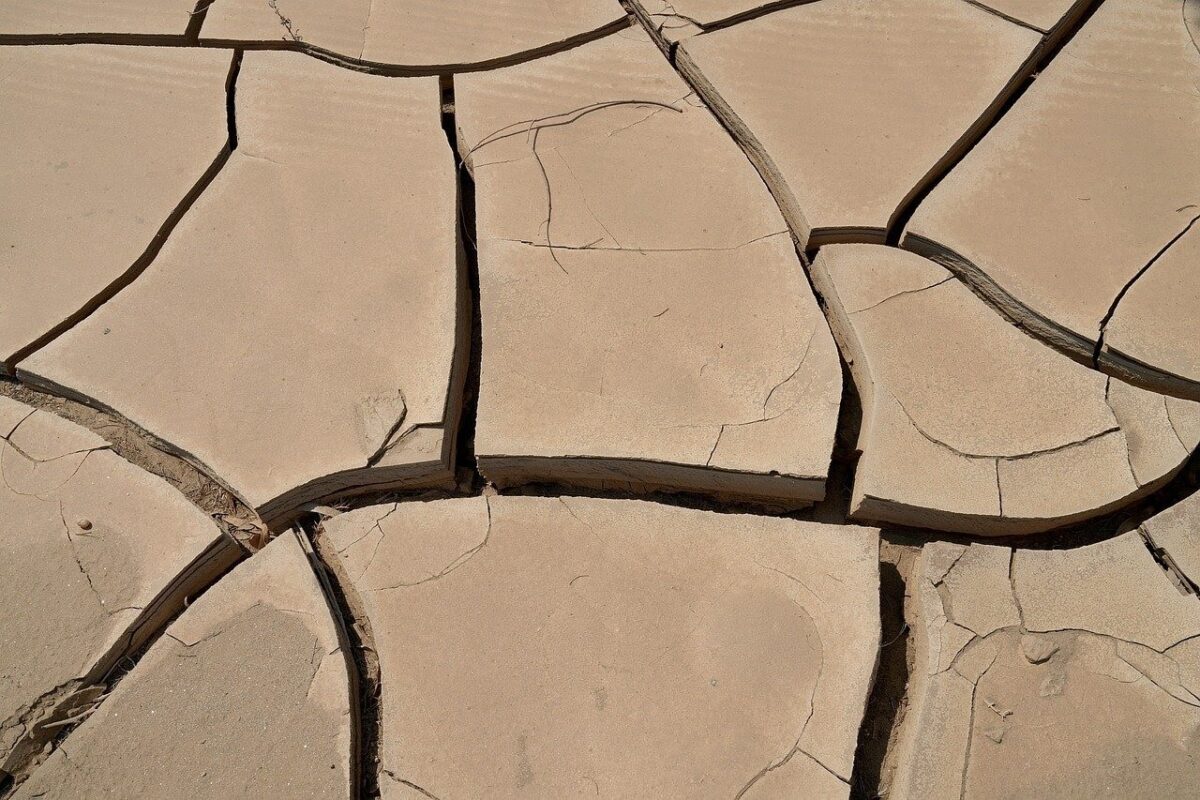 Drought